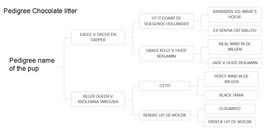 2022 pedigree nest 1 nouk