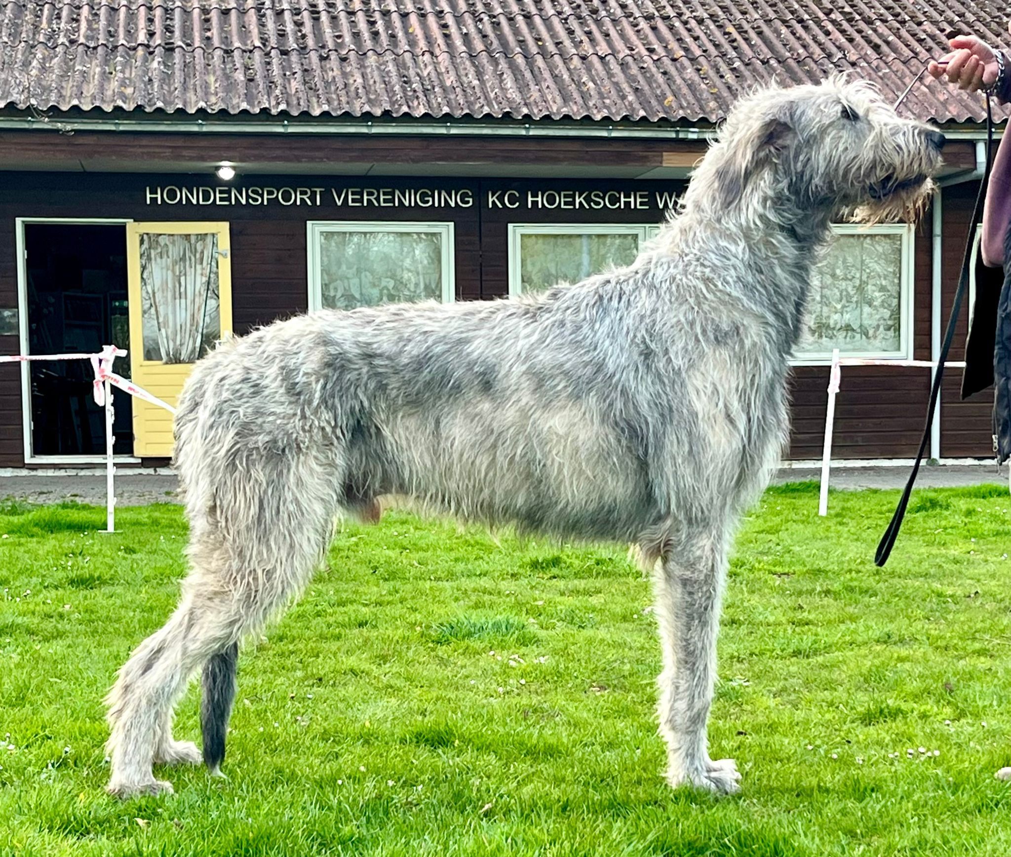 Archie, 17-04-2024