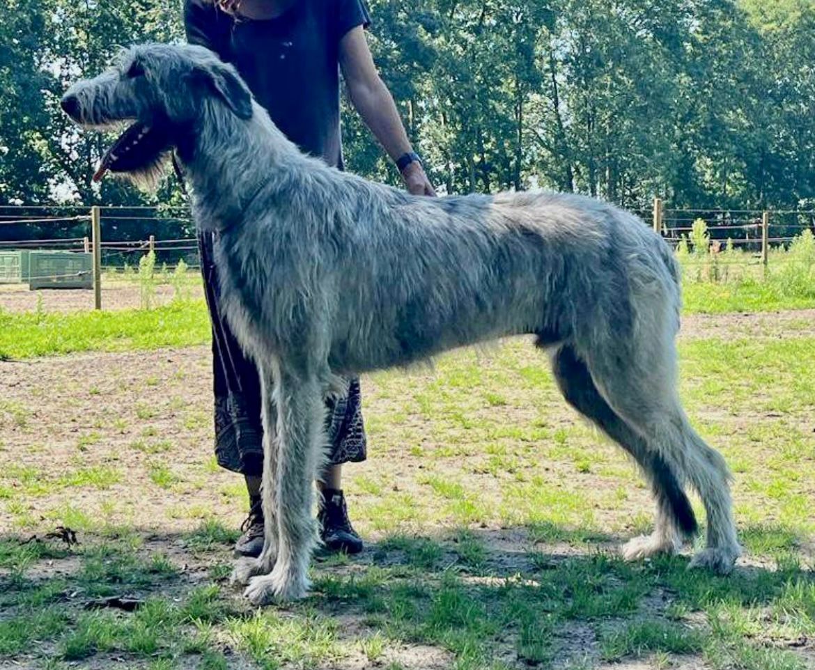 Archie, 15 maanden, 08-09-2023