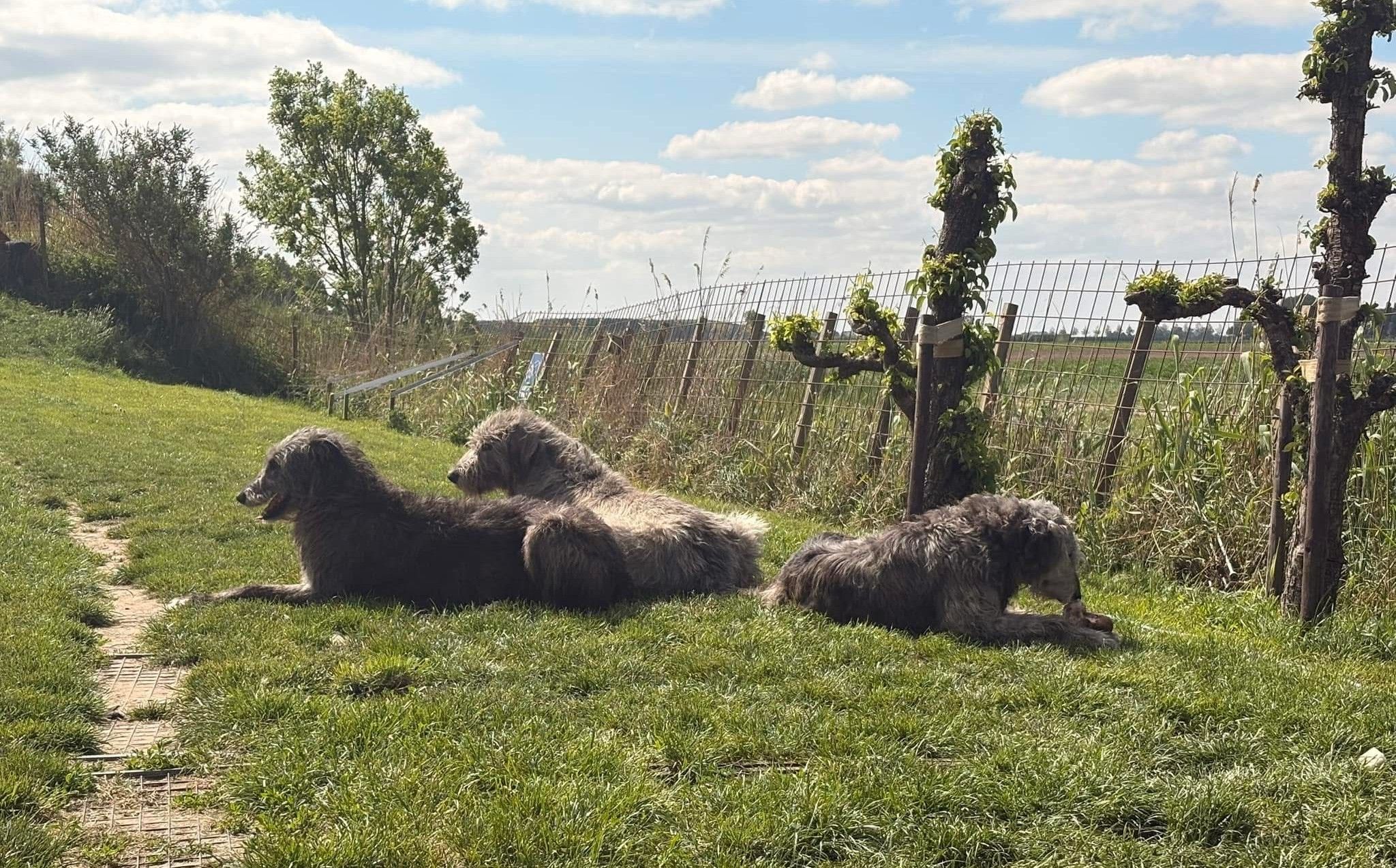 het leven is goed...
