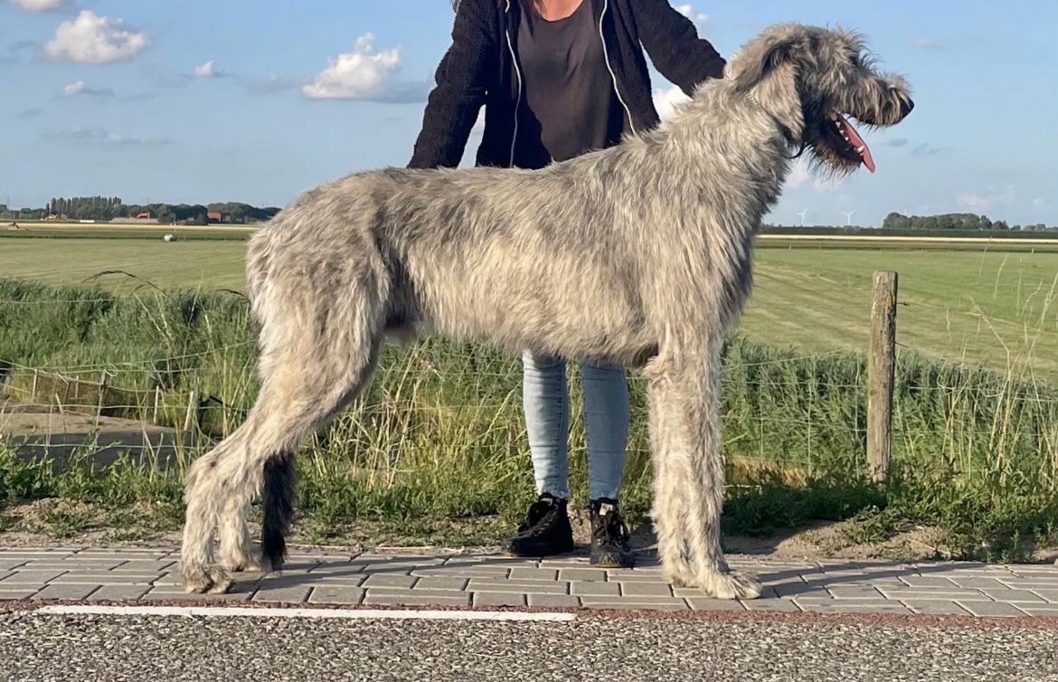 Archie, 13 maanden